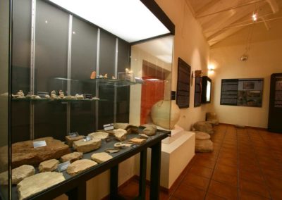 Museo 5